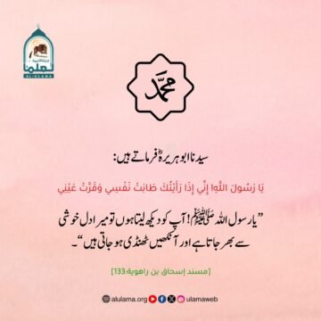 دیدار مصطفیﷺ