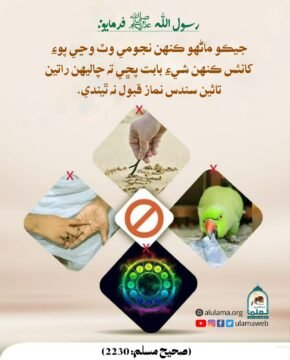 عرّاف کان سوال ڪرڻ