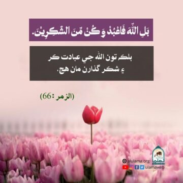 شڪر گذاري جو حڪم