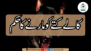 کالے کتے کو مارنے کا حکم