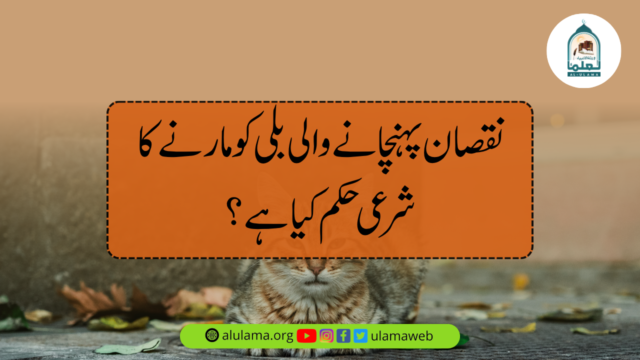 نقصان پہنچانے والی بلی کو مارنے کا شرعی حکم کیا ہے؟