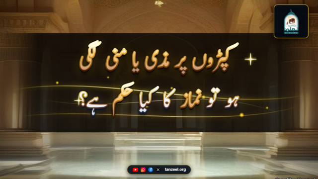 کپڑوں پر مذی یا منی لگی ہو تو نماز کا کیا حکم ہے؟