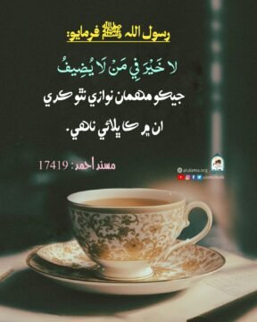 مھمان نوازي جي اهميت
