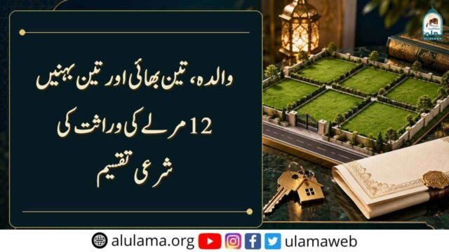 والدہ، تین بھائیوں اور تین بہنوں میں 12 مرلے کی وراثت کی شرعی تقسیم